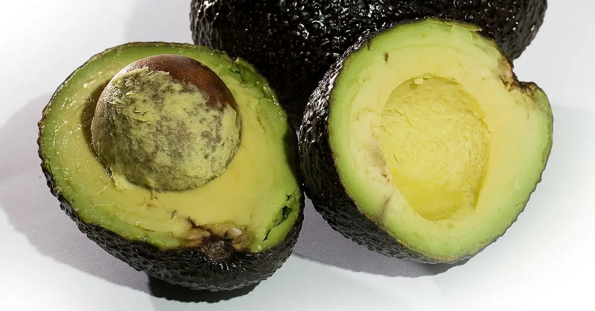 20-reasons-avocado