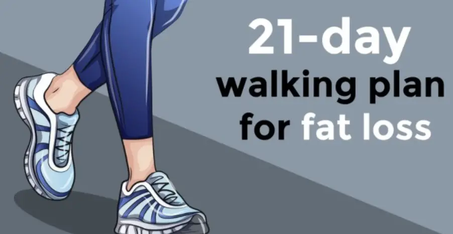 A 21-day Walking Routine To Burn Fat And Lose Weight