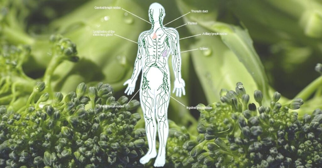 11 Simple Ways To Flush Out Toxins From Your Lymphatic System