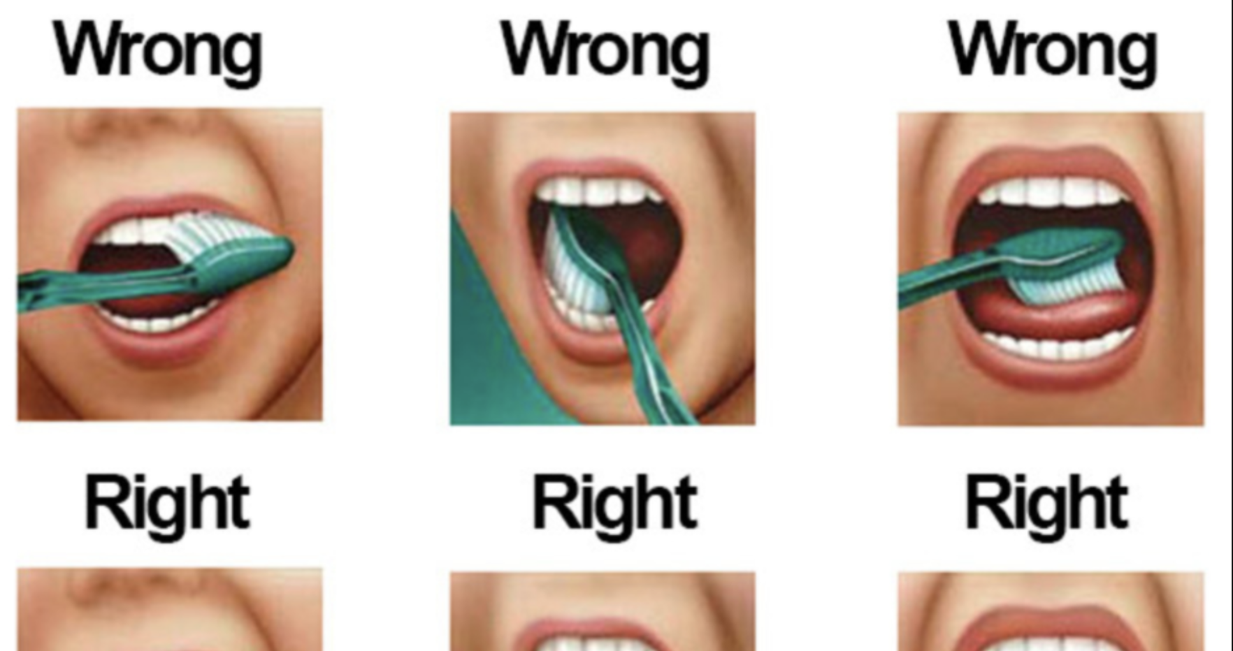 How de. Brush your Teeth properly. Неправильные движения щетки во рту. Think your Teeth паста. Неправильно или неправильно.